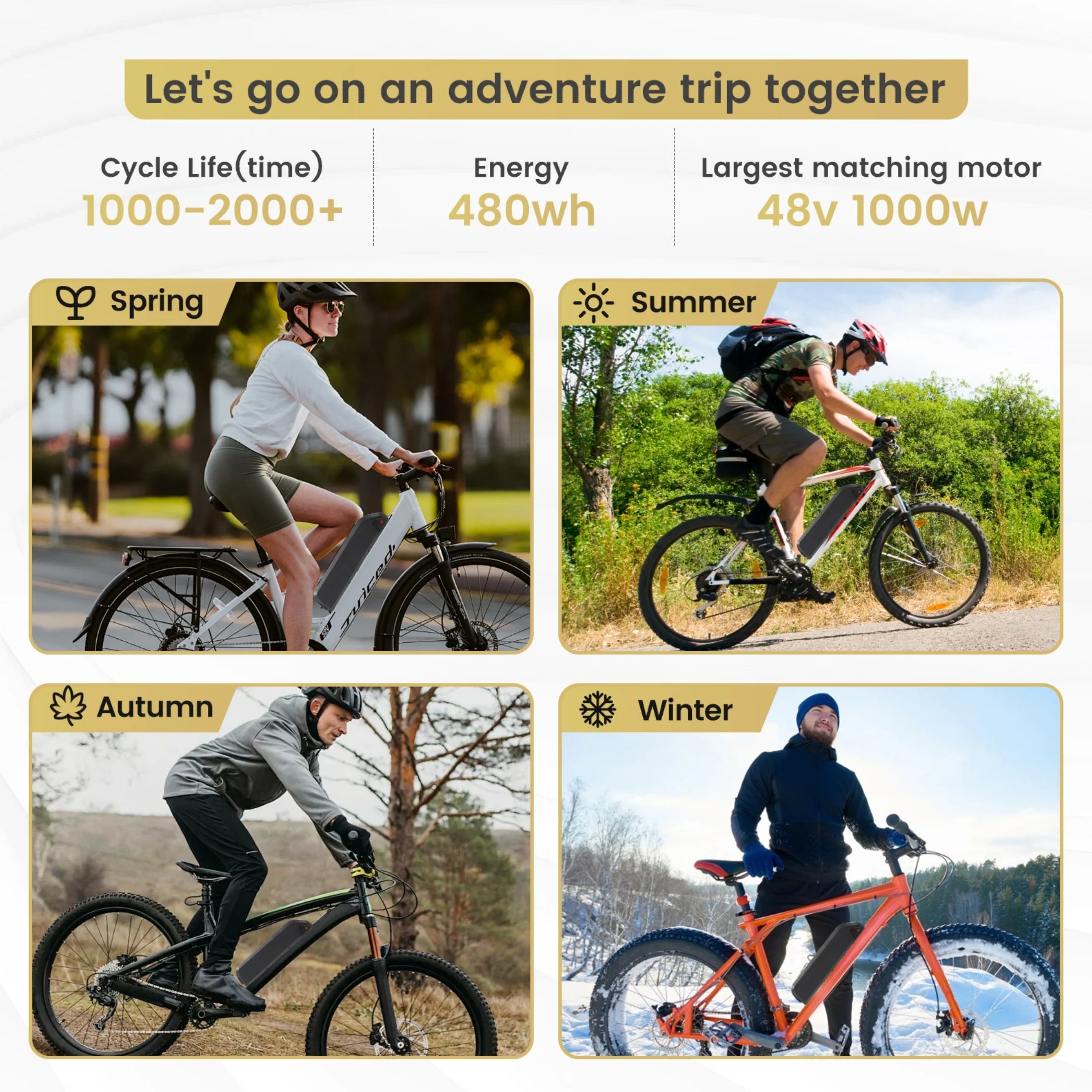 48V 10AH Ebike Battery 5Pins Lithium Battery 48V Battery 1000W for Adult Electric Bike Tricycle